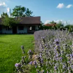 Villa Walnut 1 Deredzhik-Koy