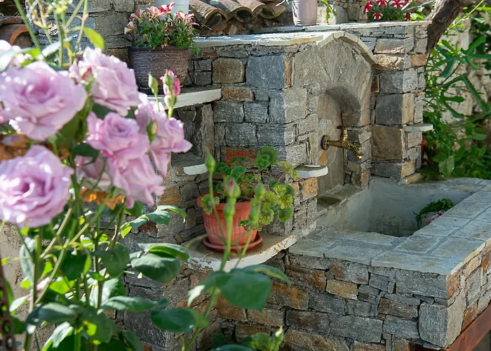 Walnut 1 Deredzhik-Koy