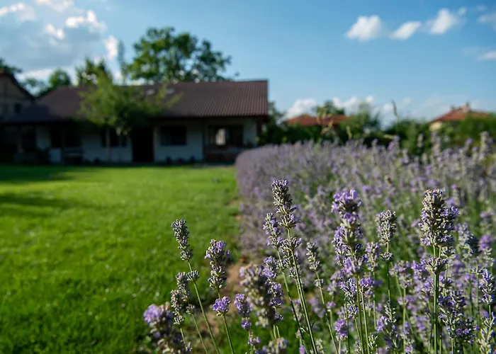 Βίλα Walnut 1 Deredzhik-Koy