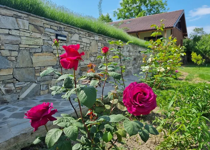 Walnut 1 וילה Deredzhik-Koy