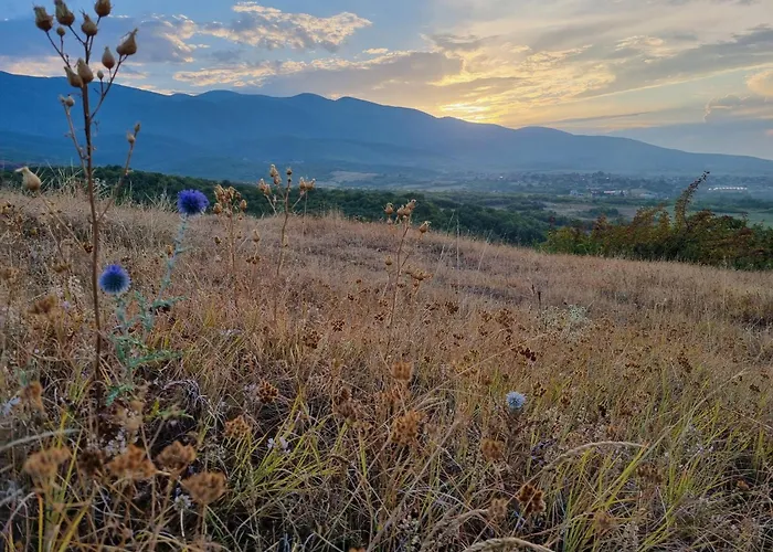 Walnut 1 Deredzhik-Koy